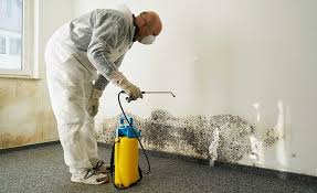 Best Environmental Consulting for Mold Prevention in Mountain Green, UT